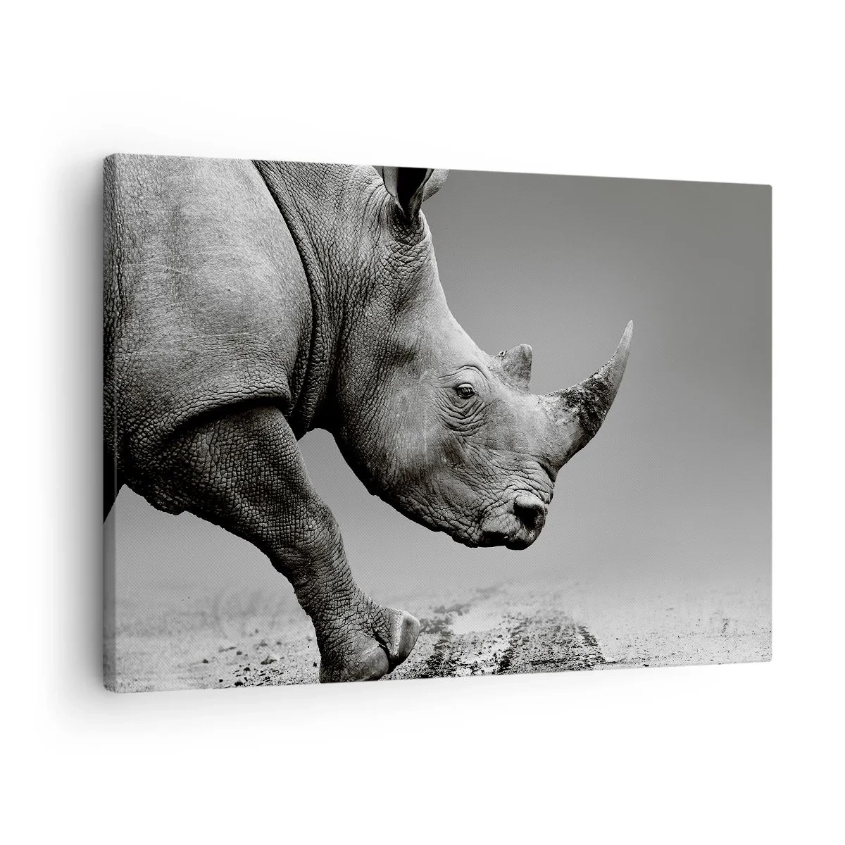 Tablou pe pânză Canvas - Portretul unui rinocer pe fundalul unui deșert gri - 70x50cm - O forță de neoprit - Decorațiune modernă pentru perete pentru living și dormitor ARTTOR