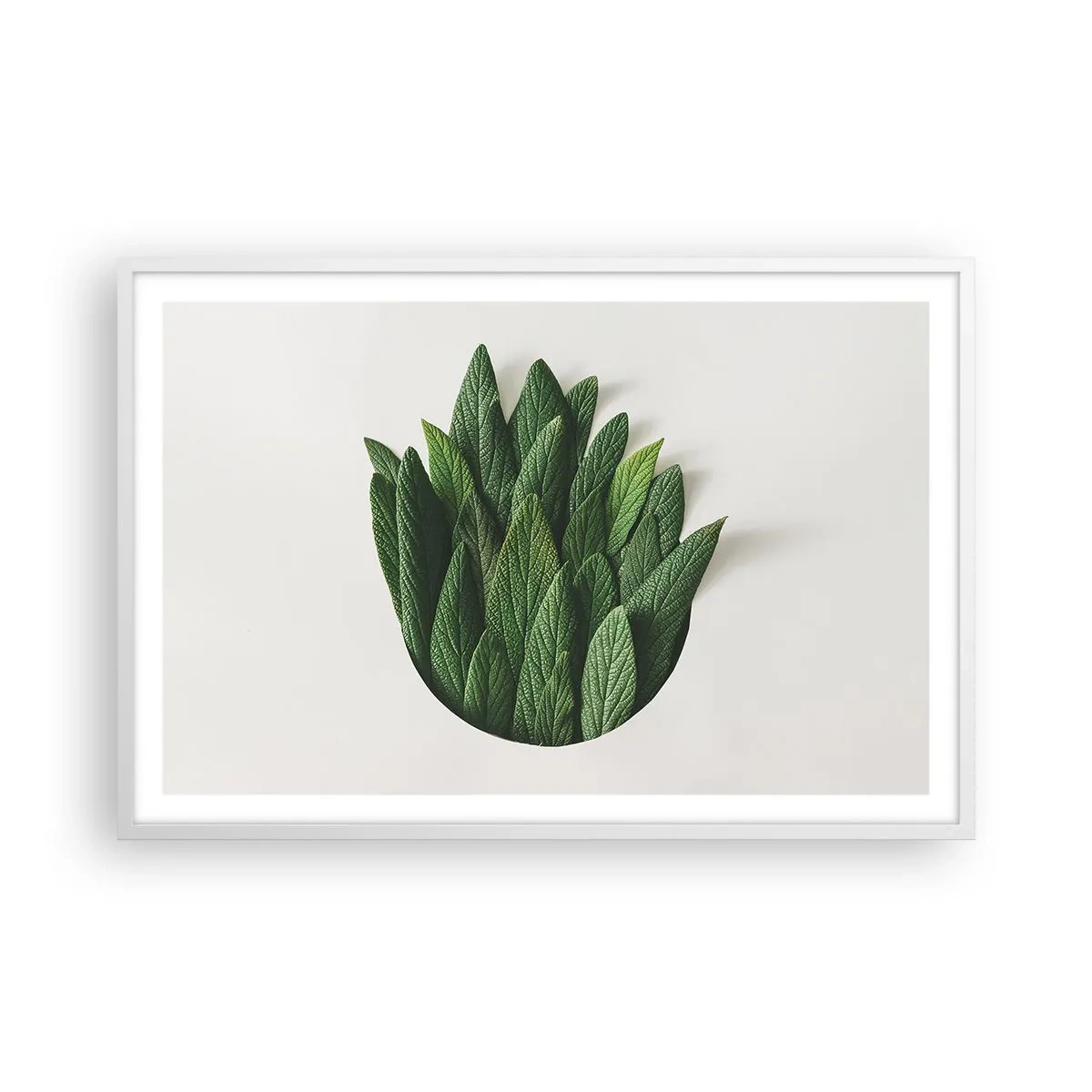 Poster în ramă albă - Curiozitatea nestăvilită - 91x61 cm