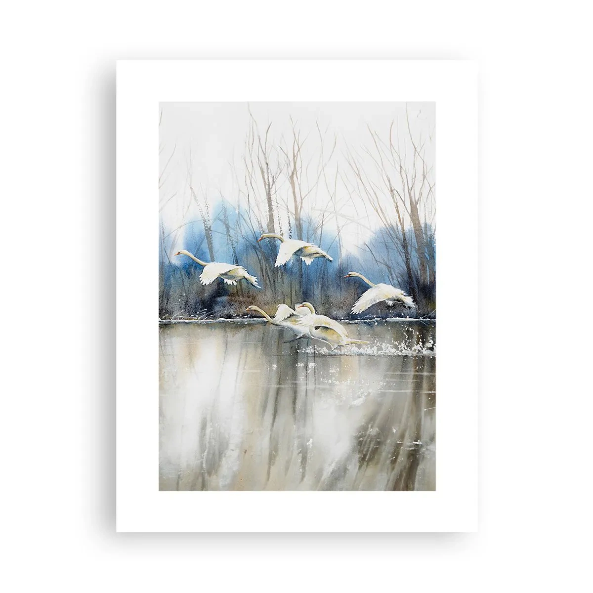 Poster - Dansând cu lebedele sălbatice - 30x40 cm