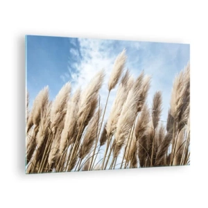 Tablou pe sticlă - Ierburi decorative de pampas pe un cer albastru - 70x50cm - Mângâiere însorită și vântoasă - Decorațiune modernă pentru perete pentru living și dormitor ARTTOR