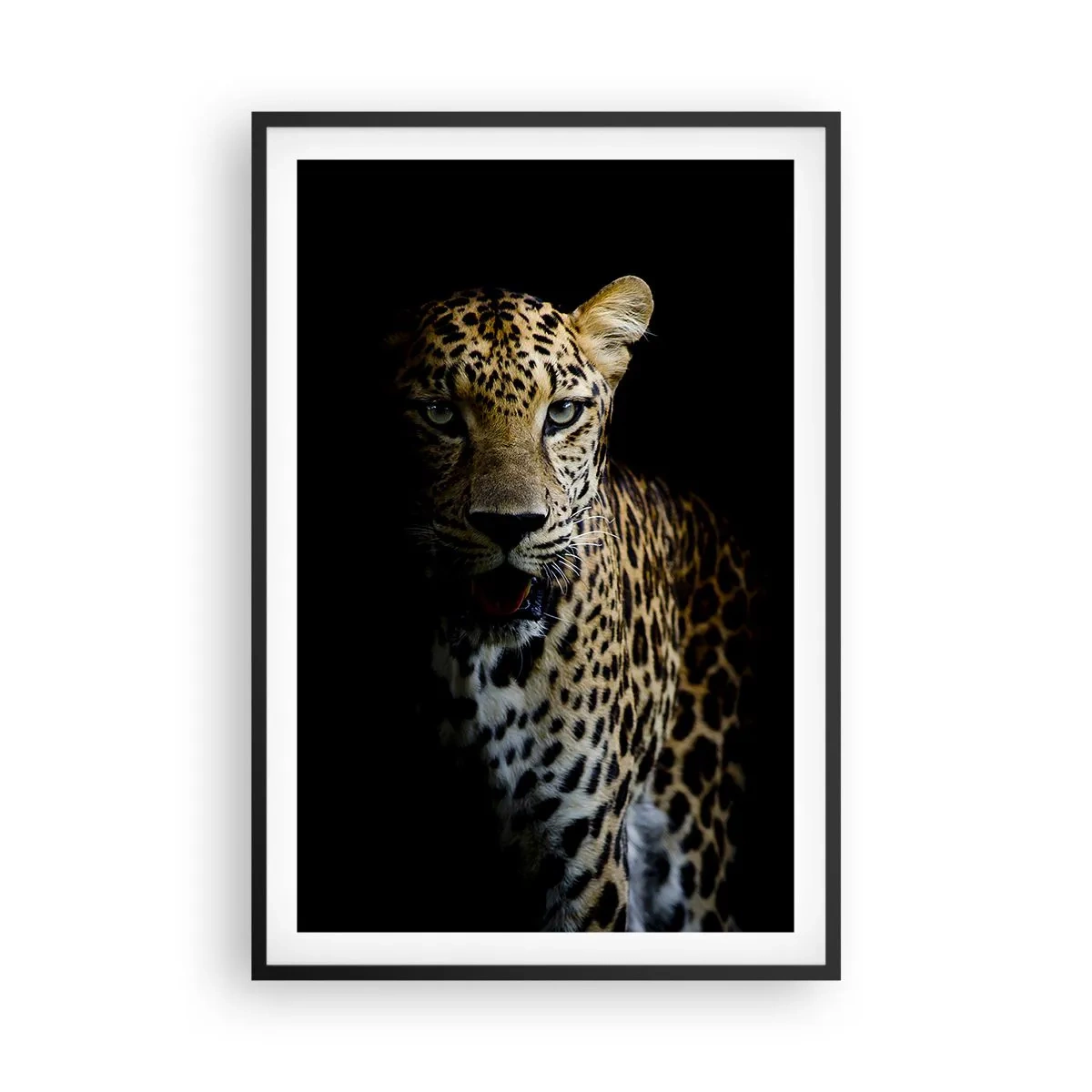 Poster în ramă neagră - Frumusețe întunecată - 61x91 cm