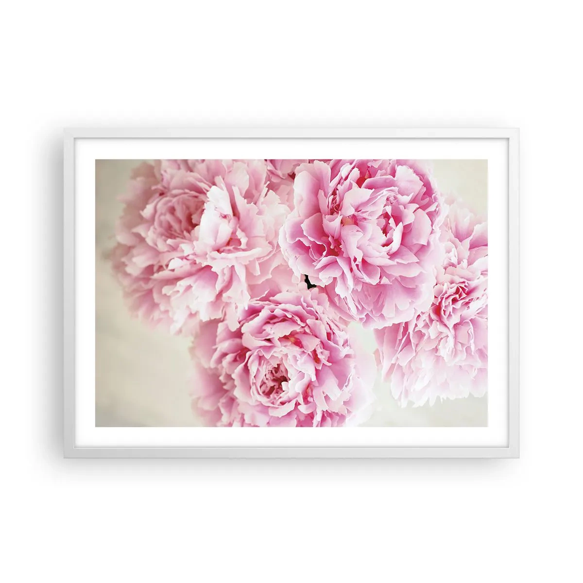 Poster în ramă albă - În luxul roz - 70x50 cm