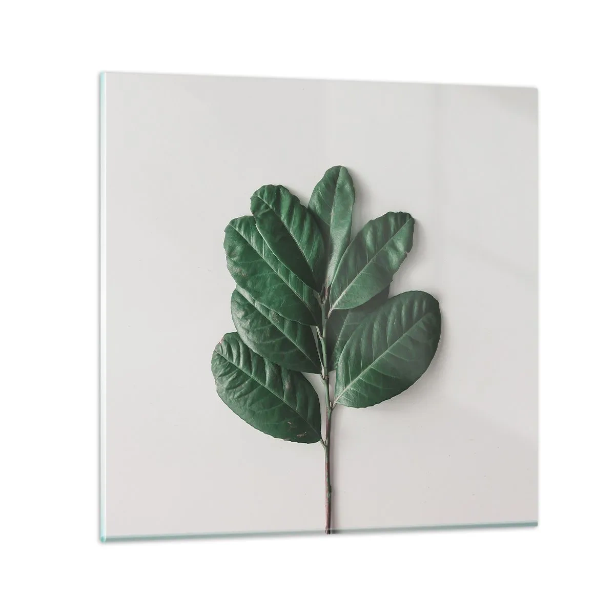 Tablou pe sticlă - Desenul naturii însăși - 30x30 cm