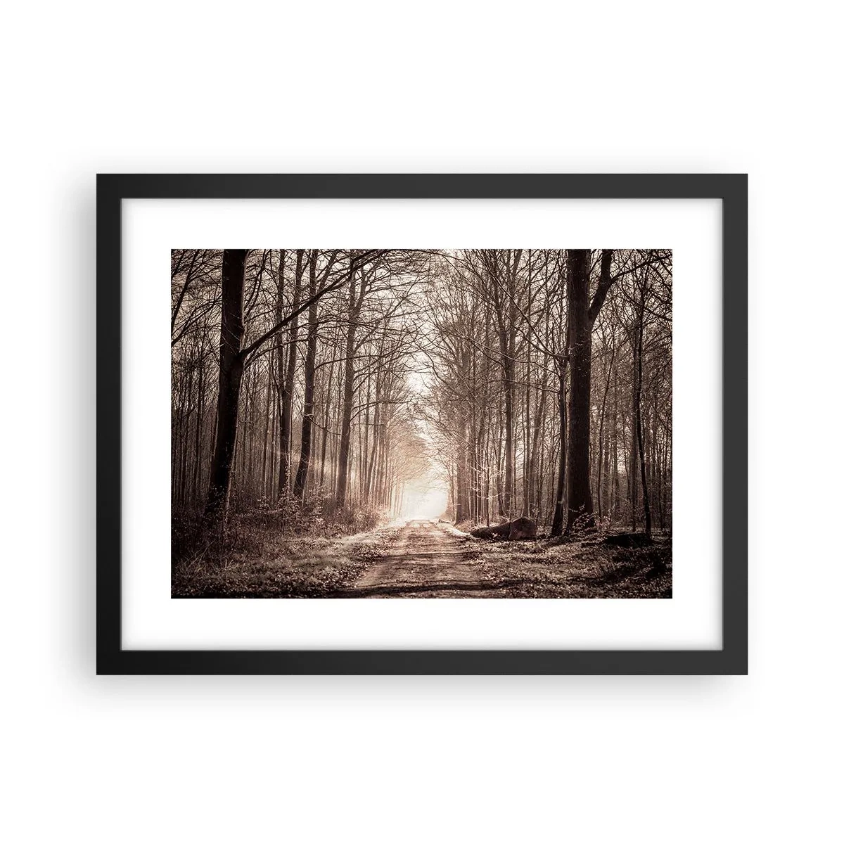 Poster în ramă neagră - Catedrala Forestieră - 40x30 cm