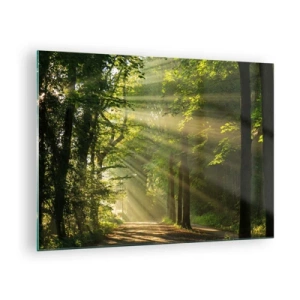 Tablou pe sticlă - O cărare de pădure luminată de razele soarelui - 70x50cm - Moment de pădure - Decorațiune modernă pentru perete pentru living și dormitor ARTTOR