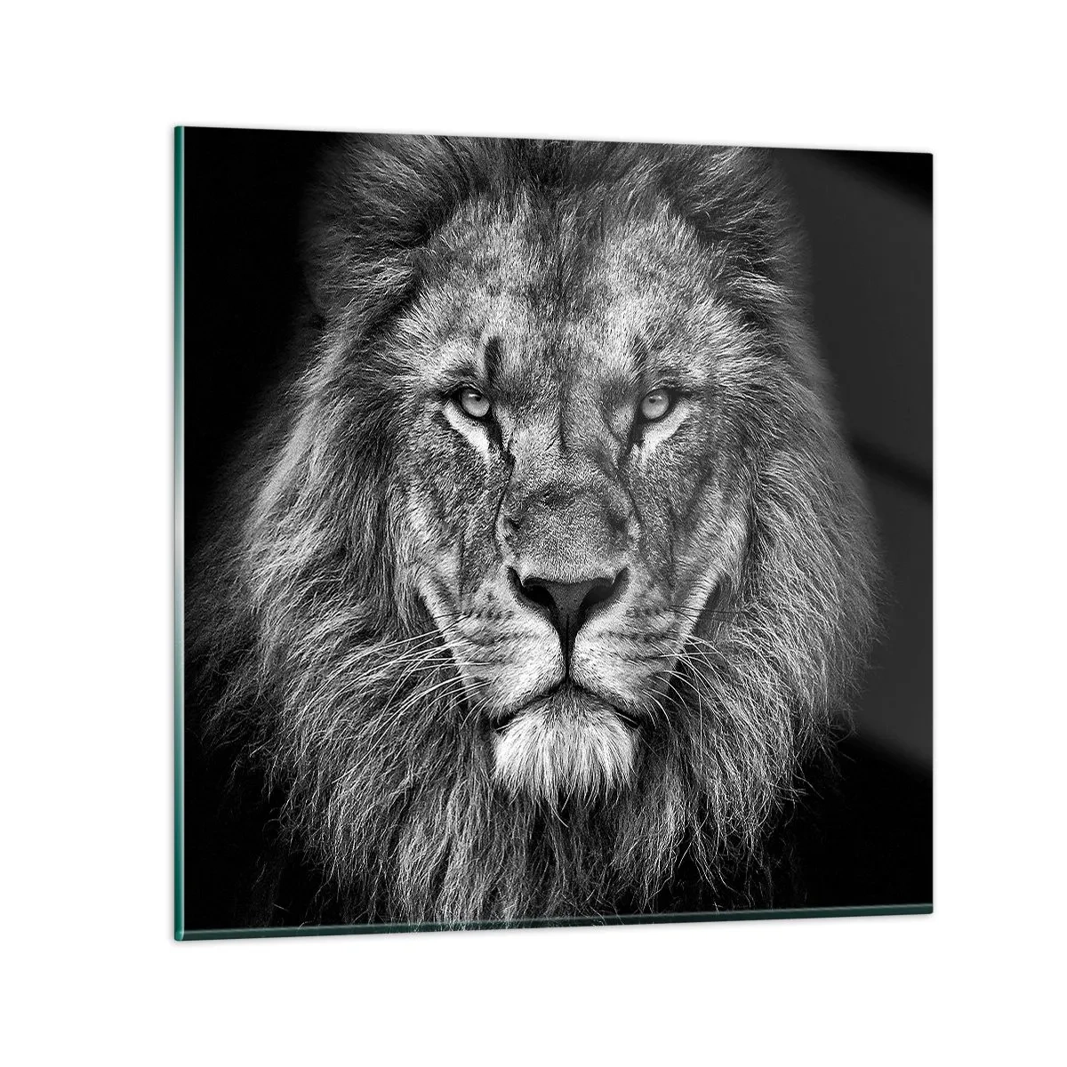 Tablou pe sticlă - În ținuta de încoronare - 60x60 cm