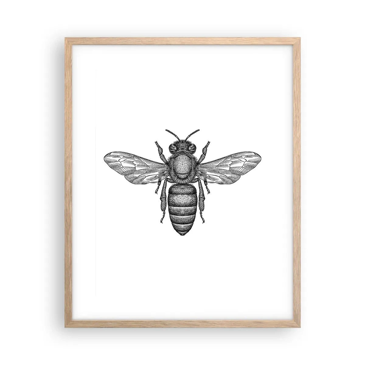 Poster în ramă de stejar deschis - Portret de insectă - 40x50 cm