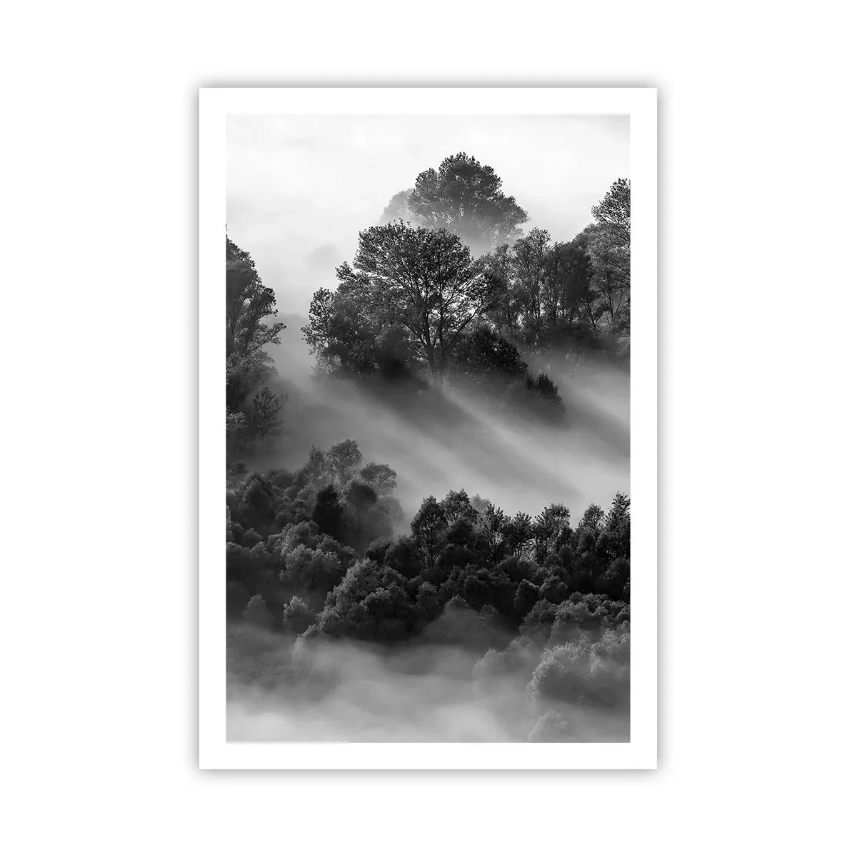 Poster - Trezindu-se din somn - 61x91 cm