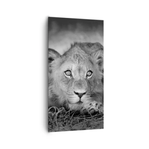 Tablou pe pânză - Pisicuța regală - 65x120 cm