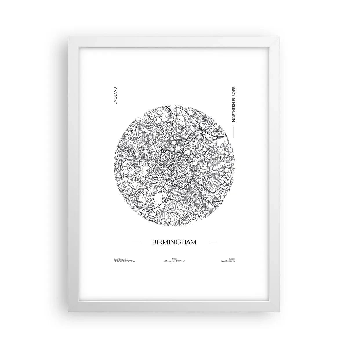 Poster în ramă albă - Anatomia Birmingham - 30x40 cm