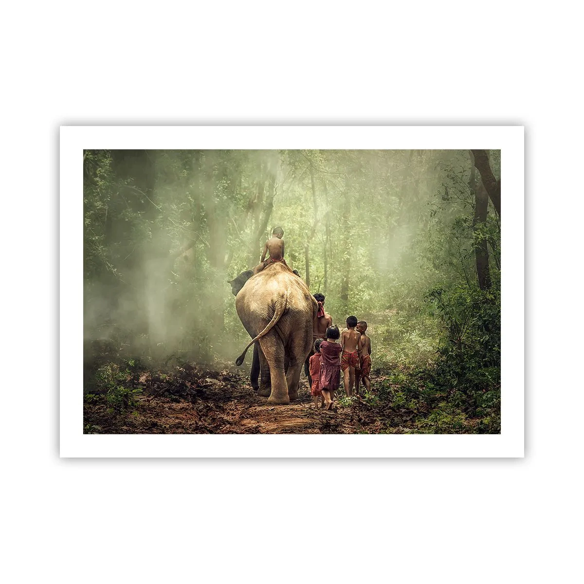 Poster - Noua Carte a Junglei - 70x50 cm