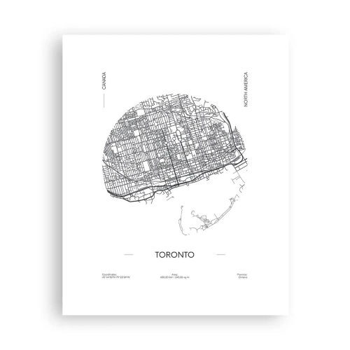 Poster - Anatomia Toronto - 40x50 cm