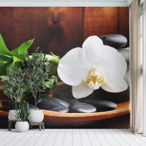 Tapet Standard Eco - Lasă natura să te atingă - Flori, Orhidee, Orhidee - 200x140 cm