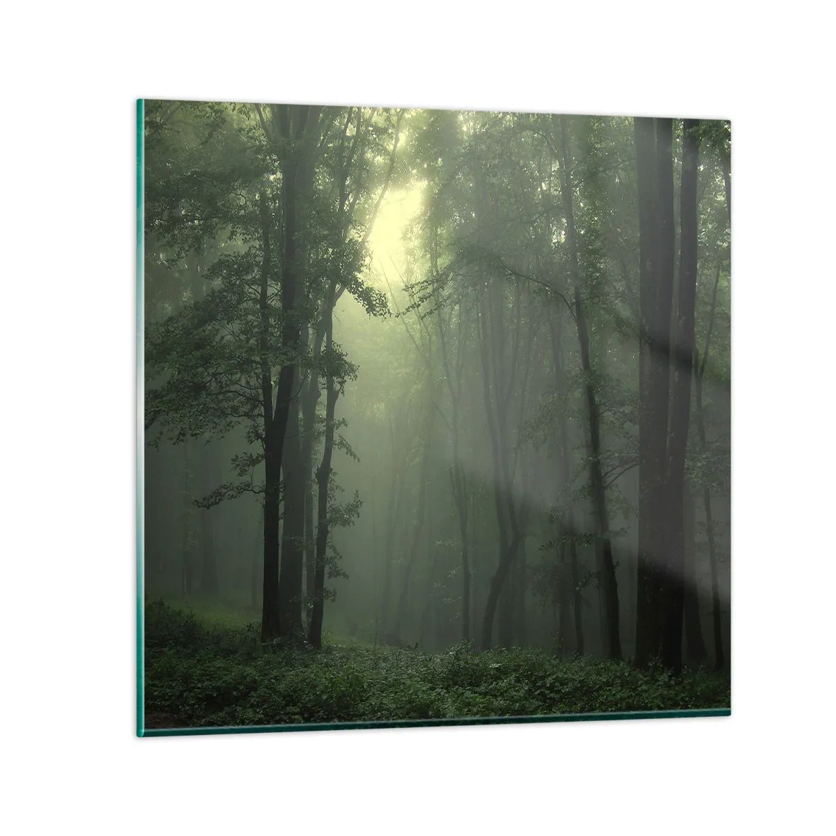 Tablou pe sticlă - Înainte să se trezească - 50x50 cm