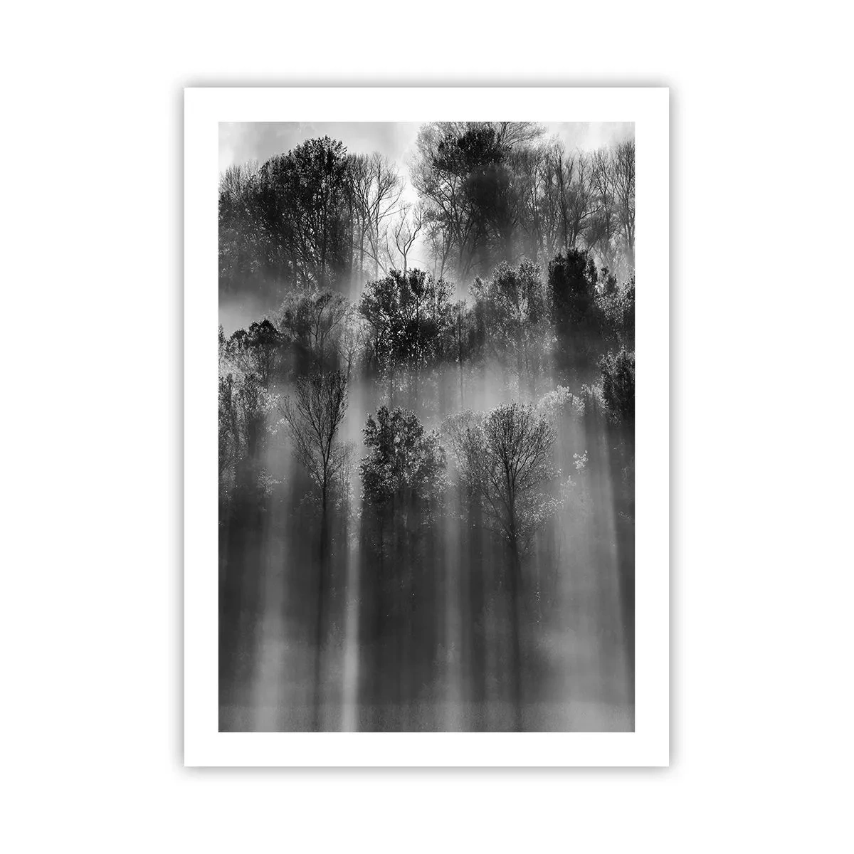 Poster - În fluxuri de lumină - 50x70 cm