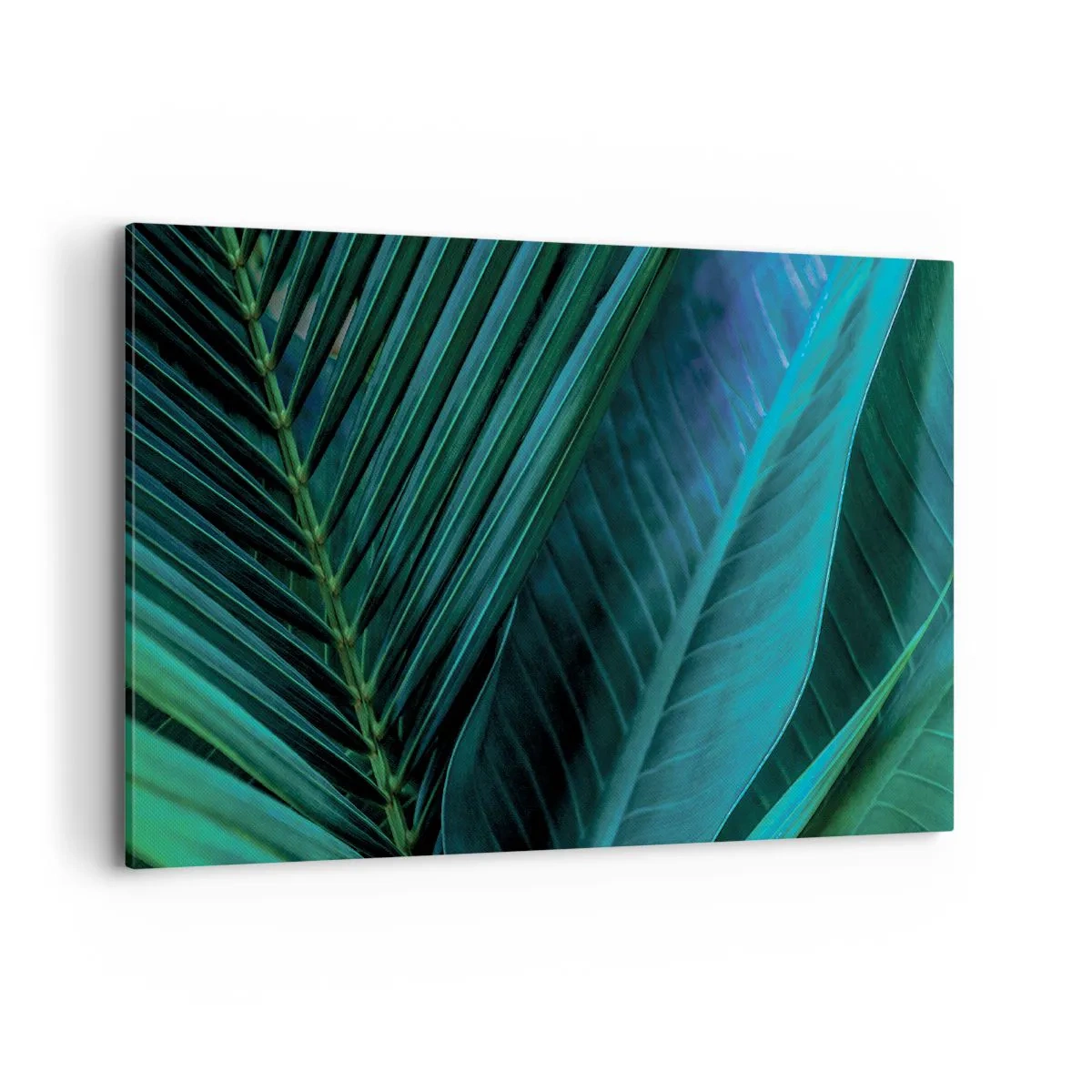 Tablou pe pânză - Anatomia verdelui - 120x80 cm