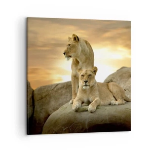 Tablou pe pânză - Maiestate regală - 50x50 cm
