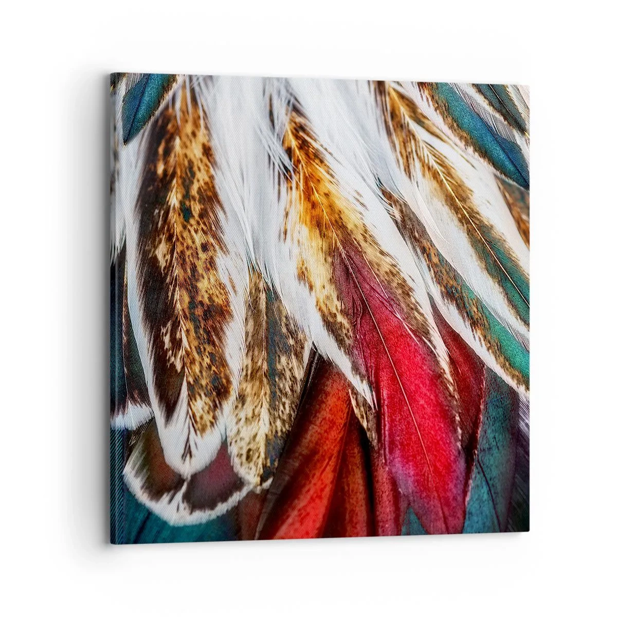 Tablou pe pânză - Secretele zborului - 70x70 cm