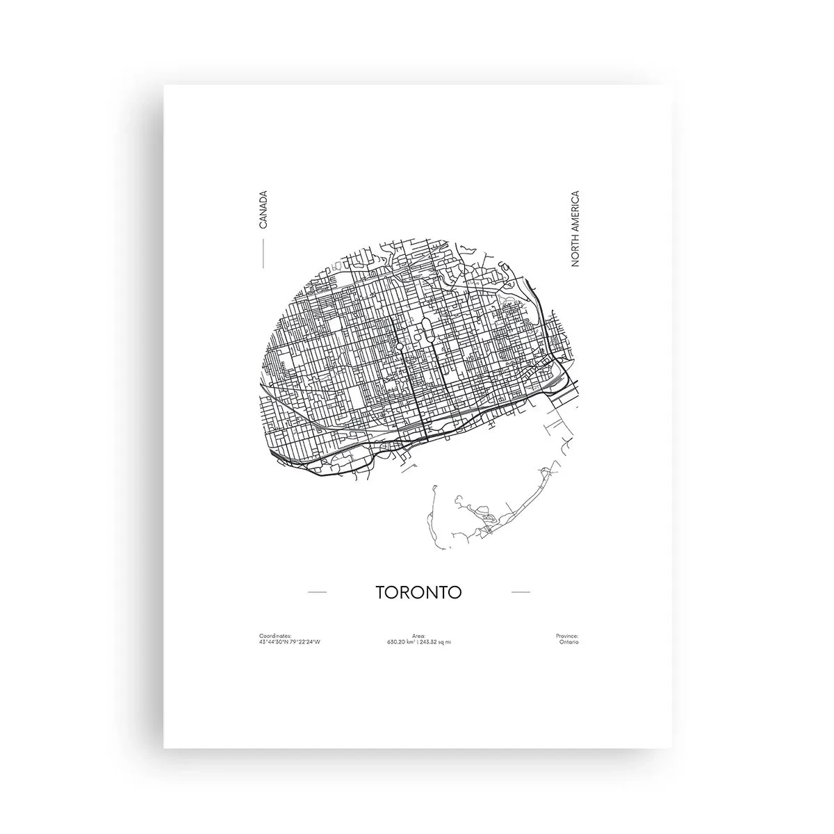 Poster - Anatomia Toronto - 30x40 cm
