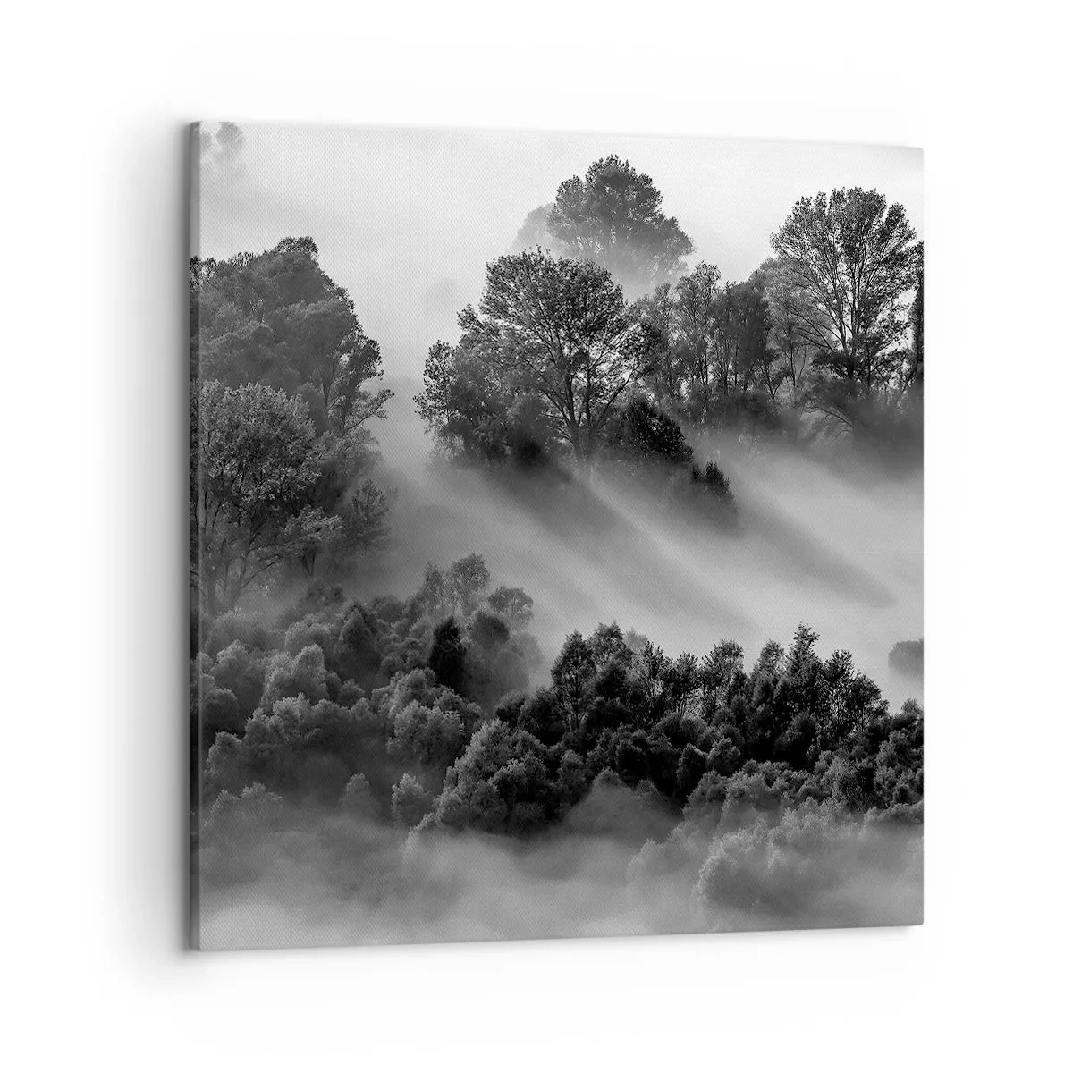 Tablou pe pânză - Trezindu-se din somn - 50x50 cm