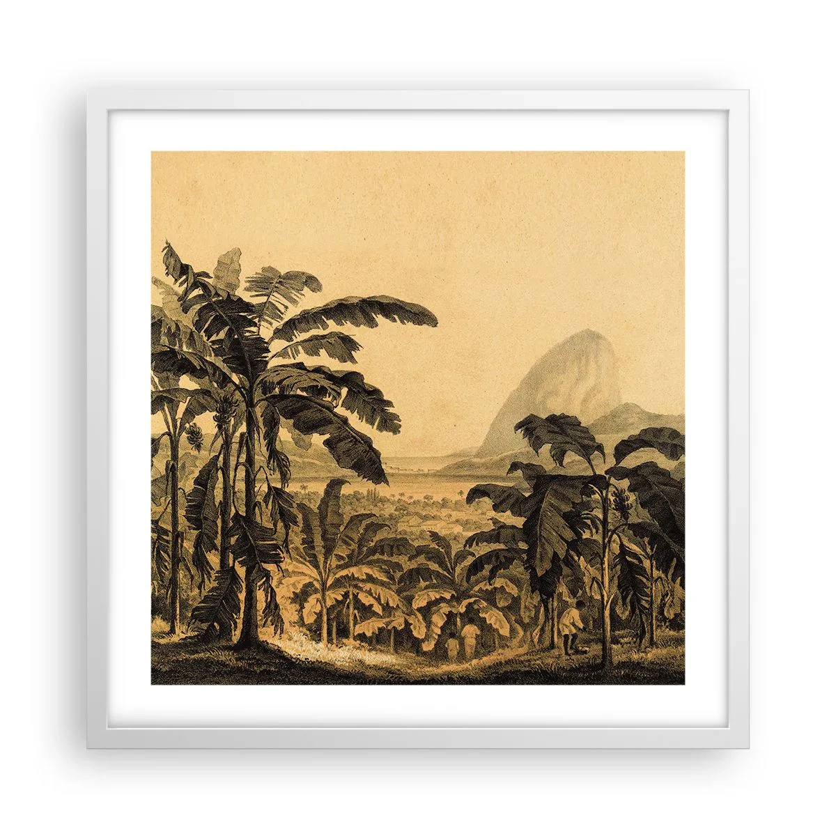Poster în ramă albă - În stil colonial - 50x50 cm
