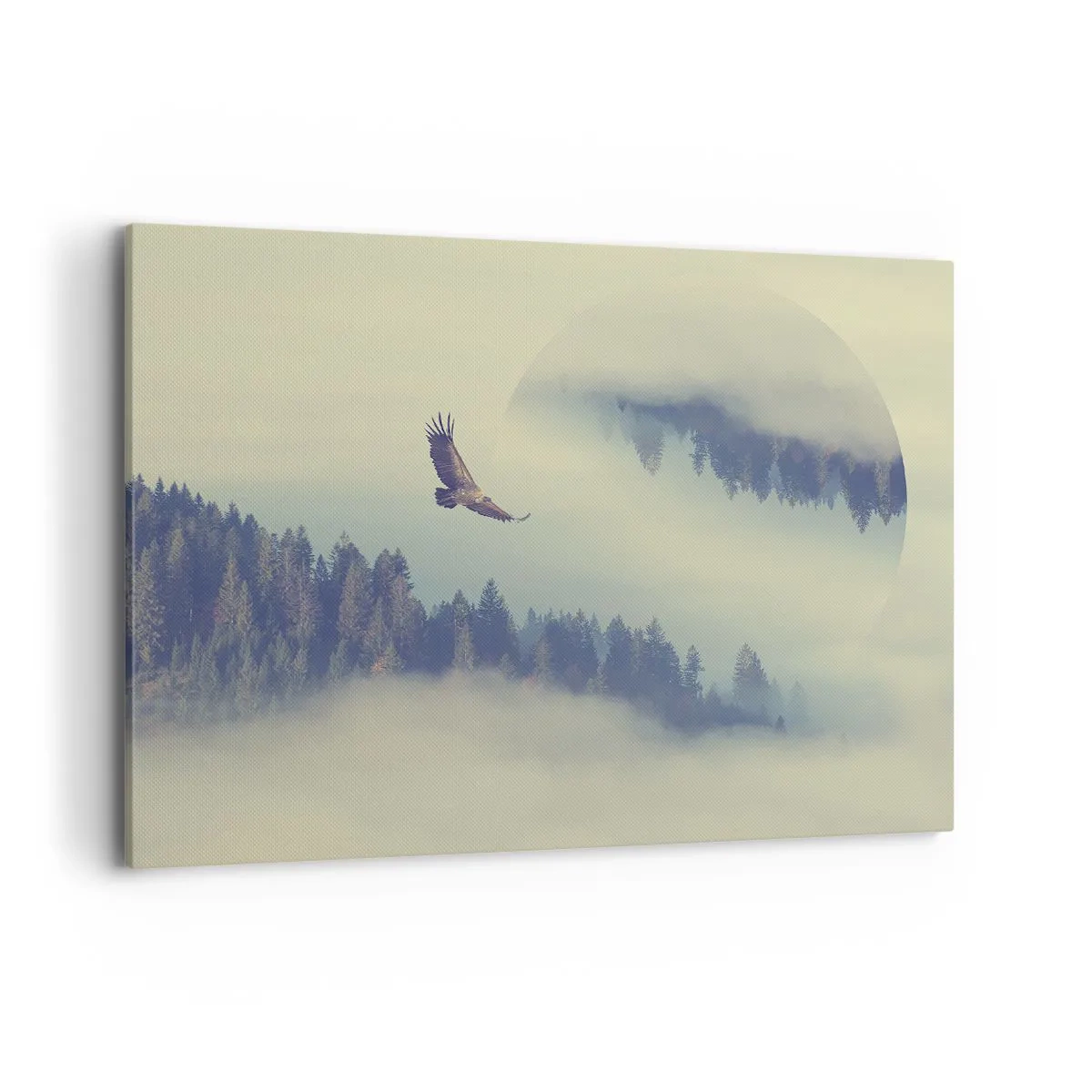Tablou pe pânză - Am văzut umbra unui vultur - 100x70 cm