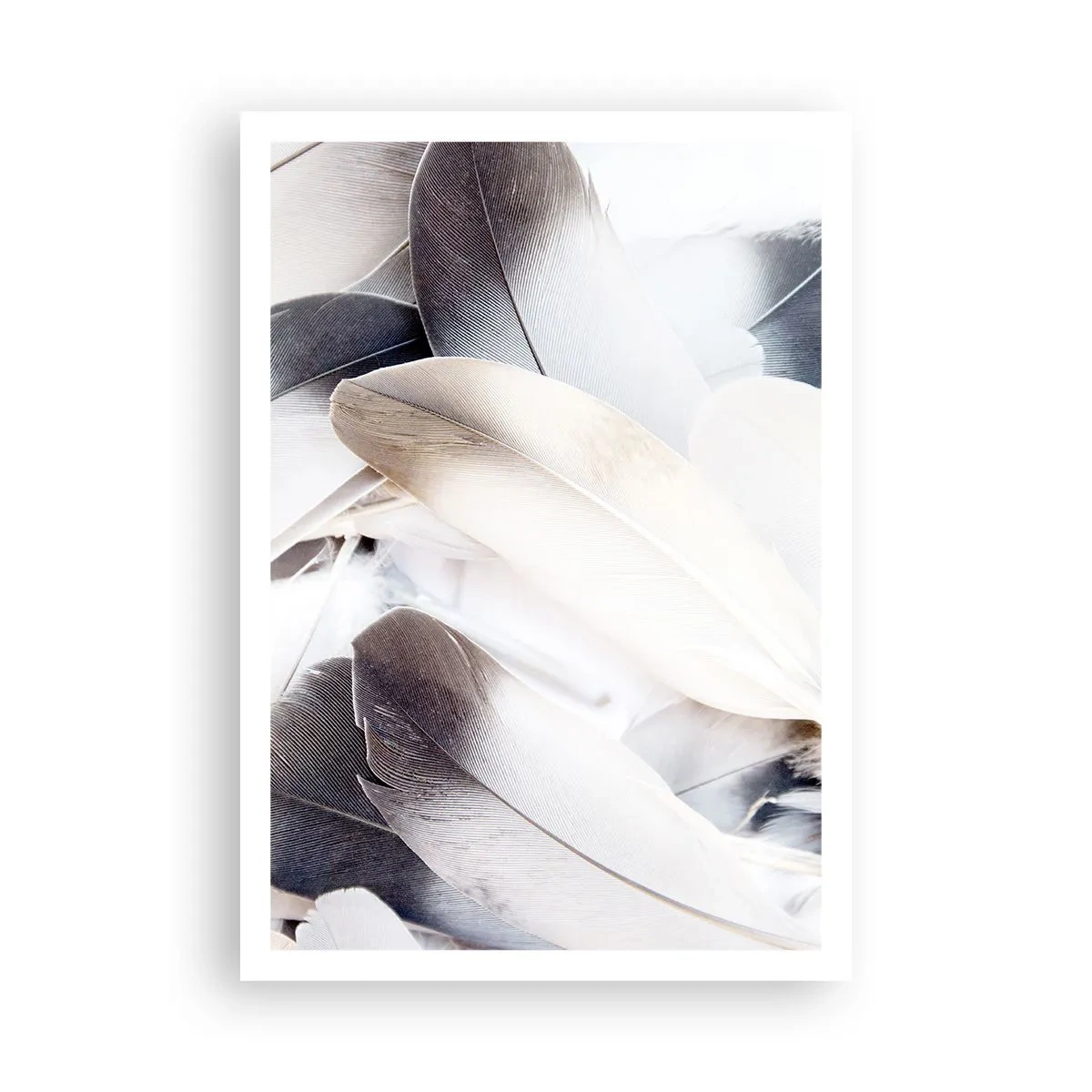 Poster - Aproape angelice - 70x100 cm