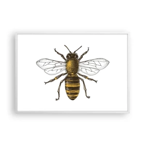 Poster în ramă albă - Frumoasă și bună - 100x70 cm