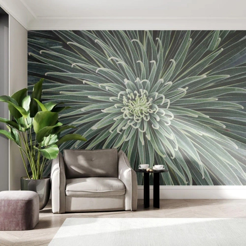 Tapet Premium Canvas - Nașterea unei stele - Floare de agave, Agavă, Flori - 500x350 cm
