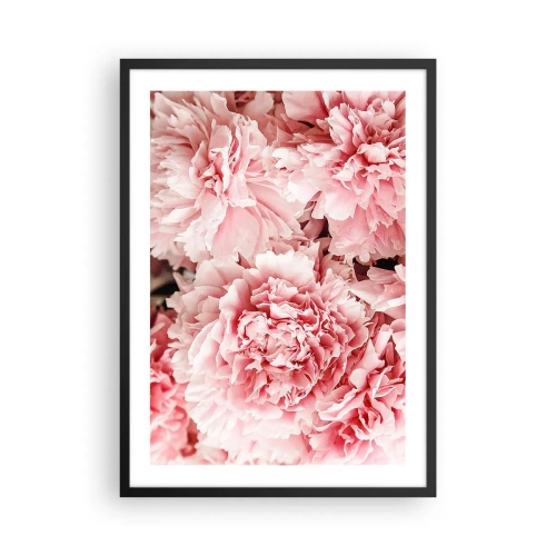 Poster în ramă neagră - Bujori roz delicați în plină floare - 50x70cm - Visul roz - Decorațiune modernă pentru perete pentru living și dormitor ARTTOR