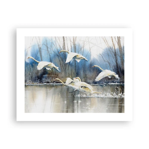 Poster - Dansând cu lebedele sălbatice - 50x40 cm
