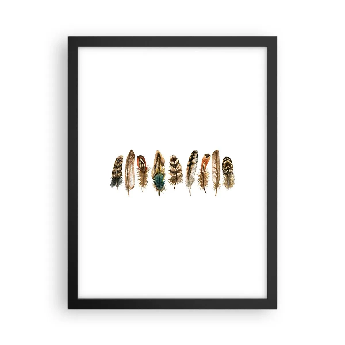 Poster în ramă neagră - Variație cu pene - 30x40 cm
