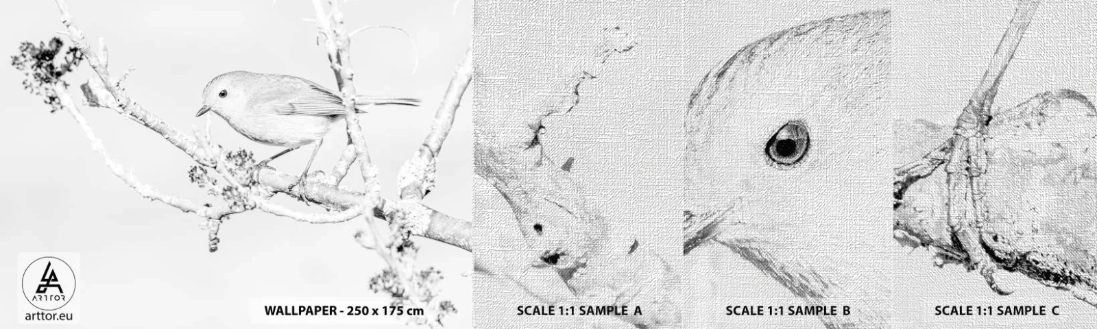Mostră tapet Premium Canvas - Dimineață de iarnă - Luminos, Pasăre, Natură - 100x30 cm