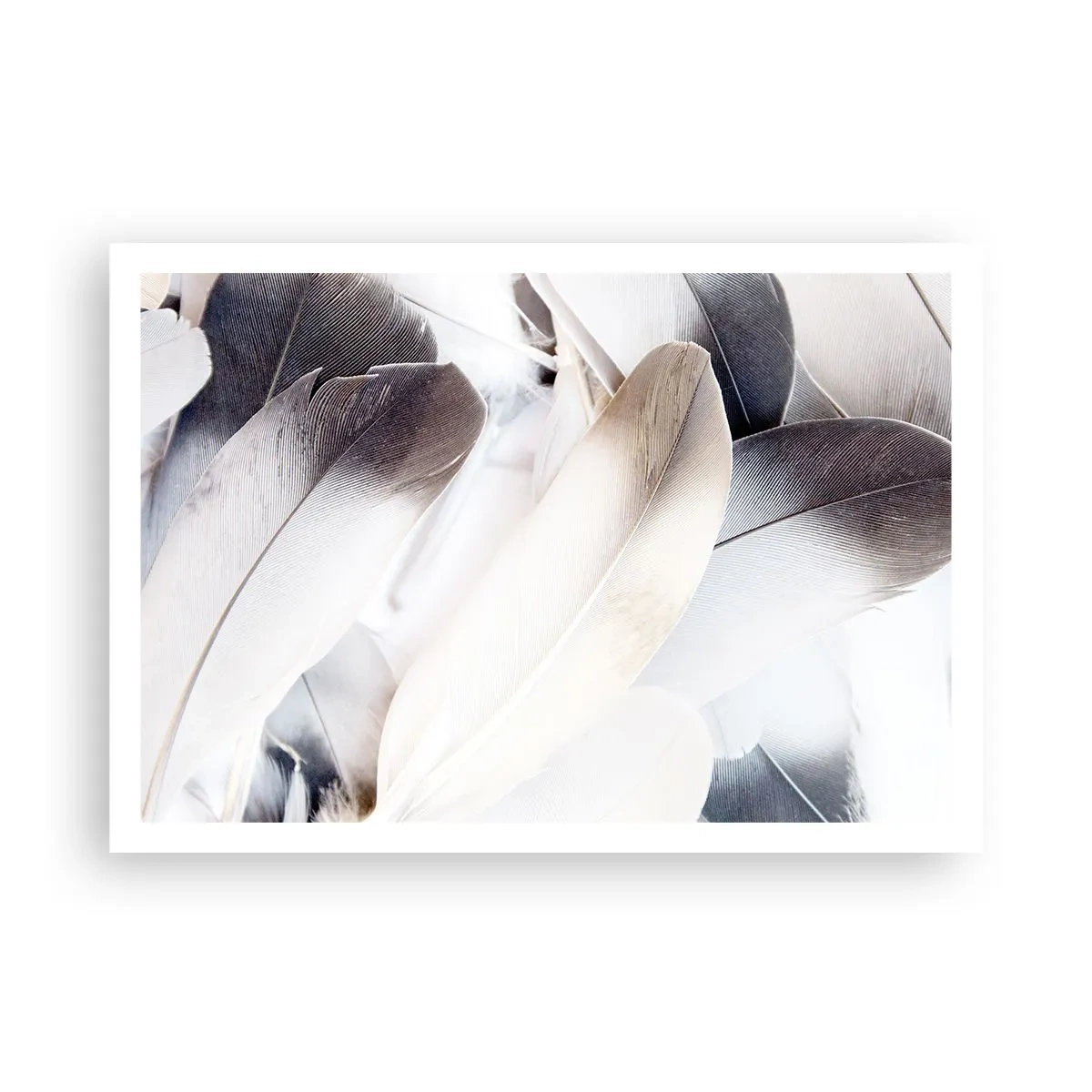 Poster - Aproape angelice - 100x70 cm