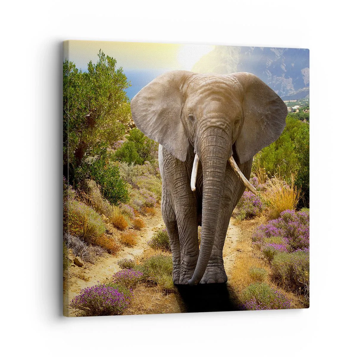 Tablou pe pânză - Iată cum arăta Edenul - 30x30 cm