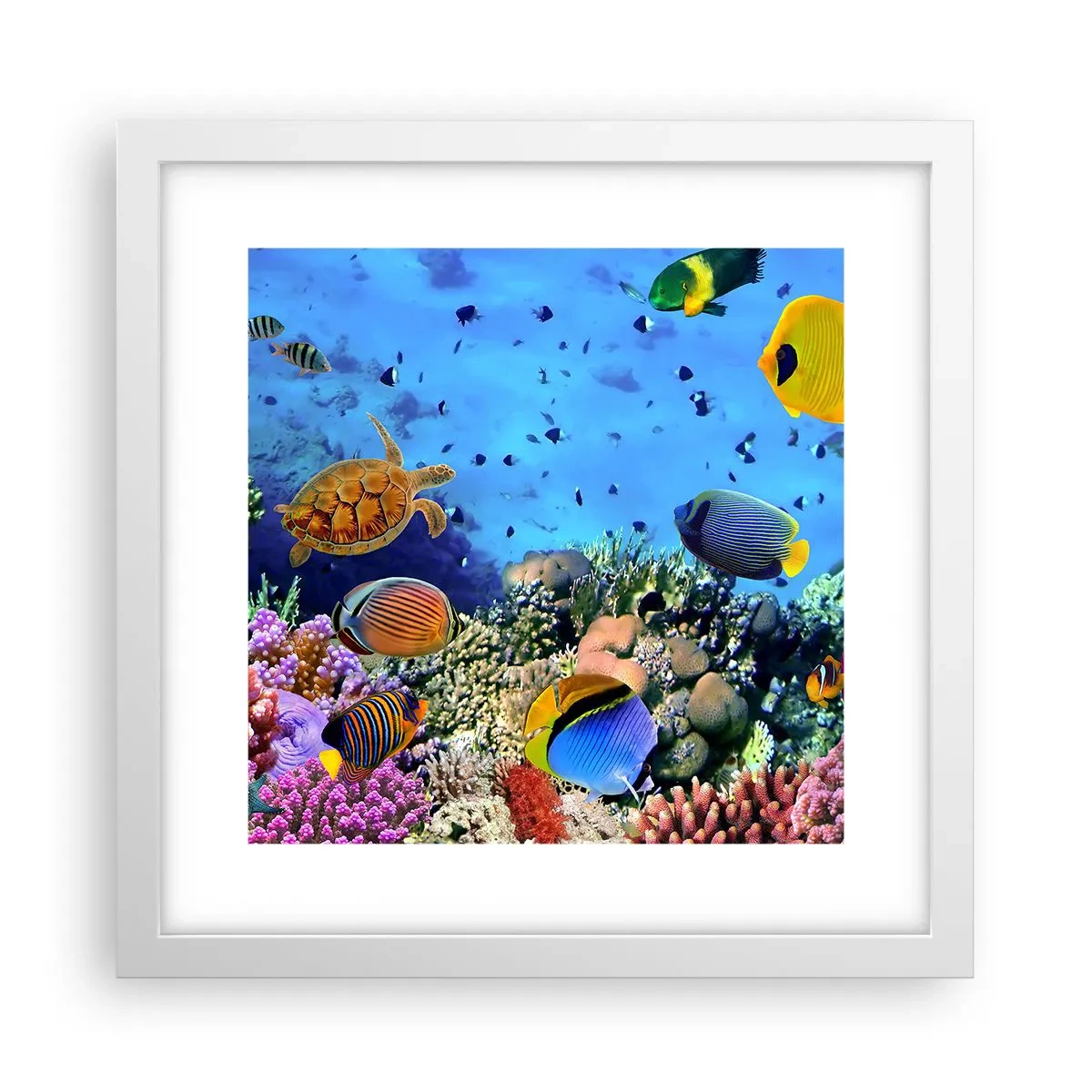 Poster în ramă albă - Și ce știm noi despre viață... - 30x30 cm