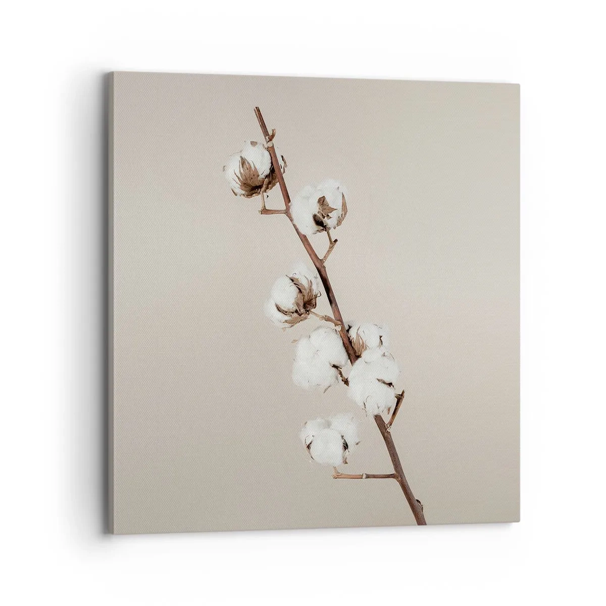 Tablou pe pânză - La sursa moliciunii - 70x70 cm