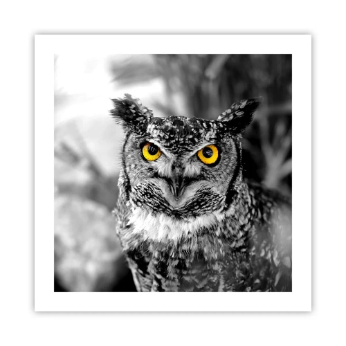 Poster - Nimic nu poate fi ascuns - 50x50 cm