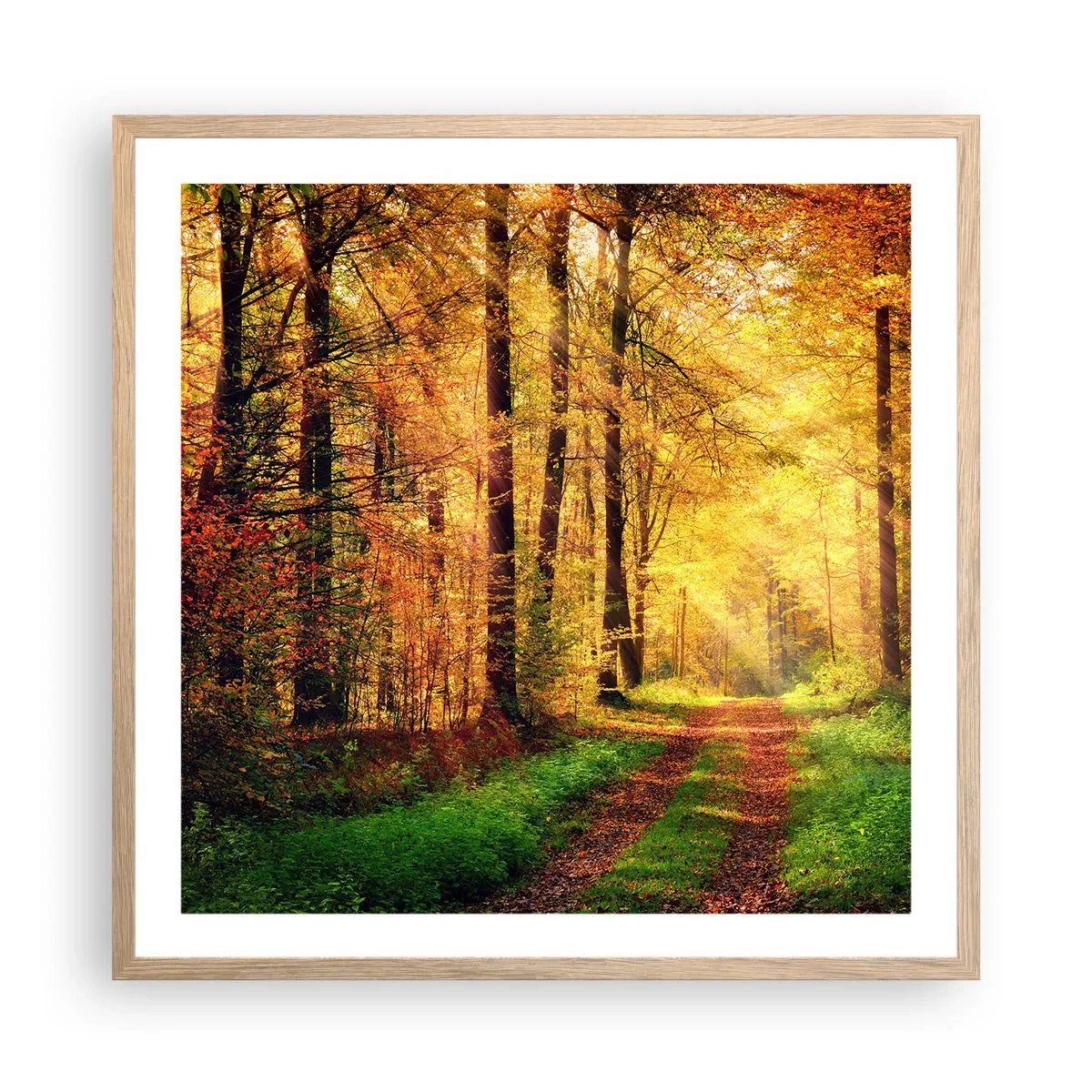 Poster în ramă de stejar deschis - Tăcere de aur de pădure - 60x60 cm