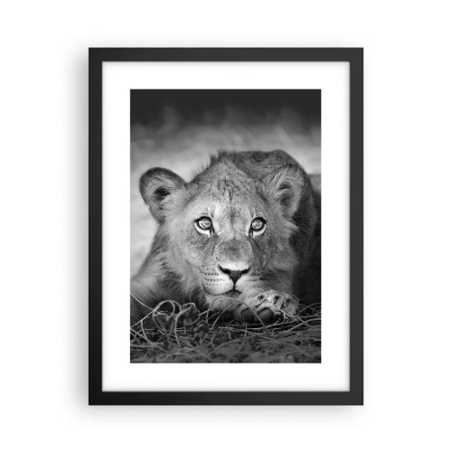 Poster în ramă neagră - Pisicuța regală - 30x40 cm