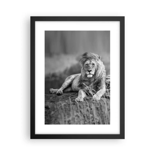Poster în ramă neagră - Siesta regală - 30x40 cm