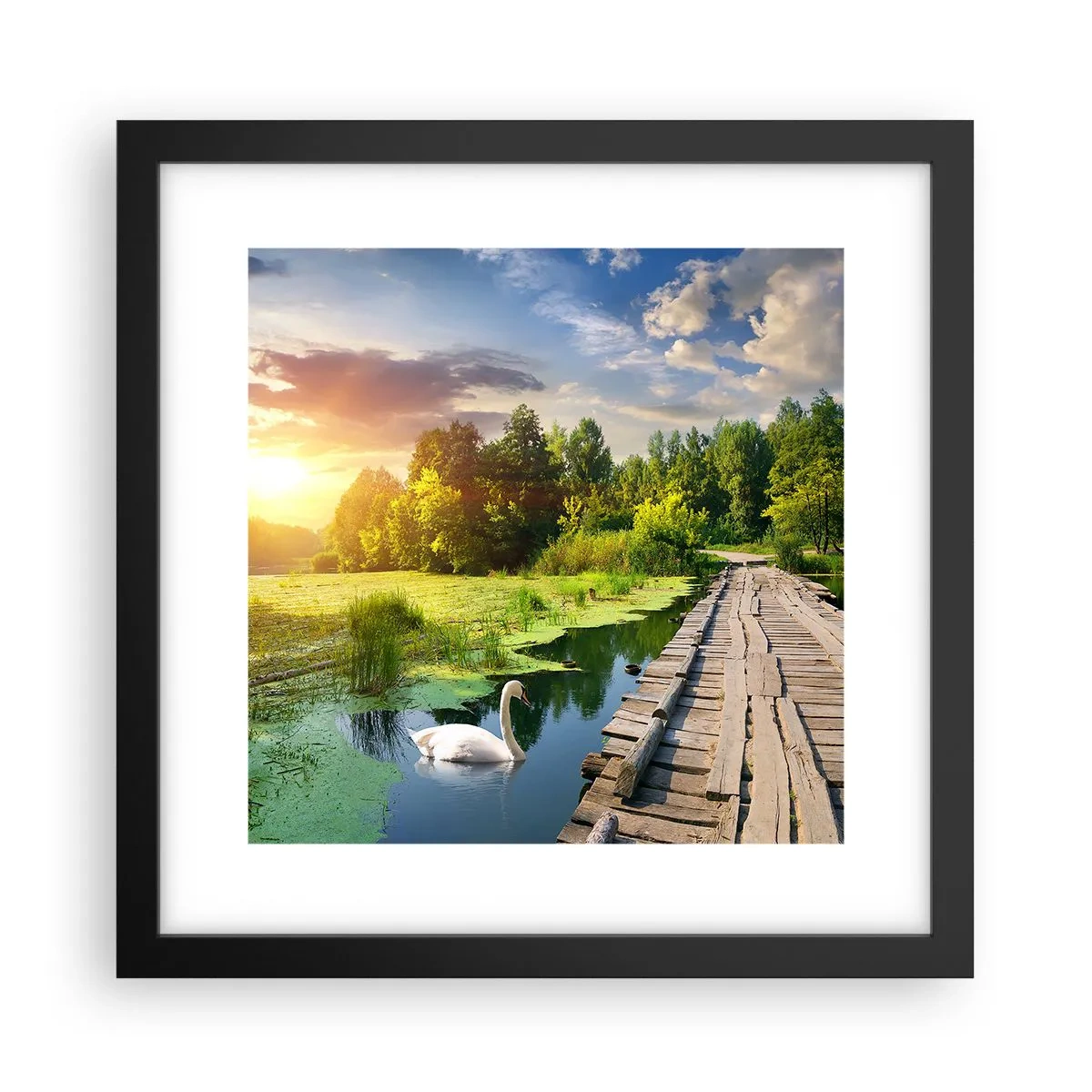Poster în ramă neagră - Vară, vară peste tot - 30x30 cm