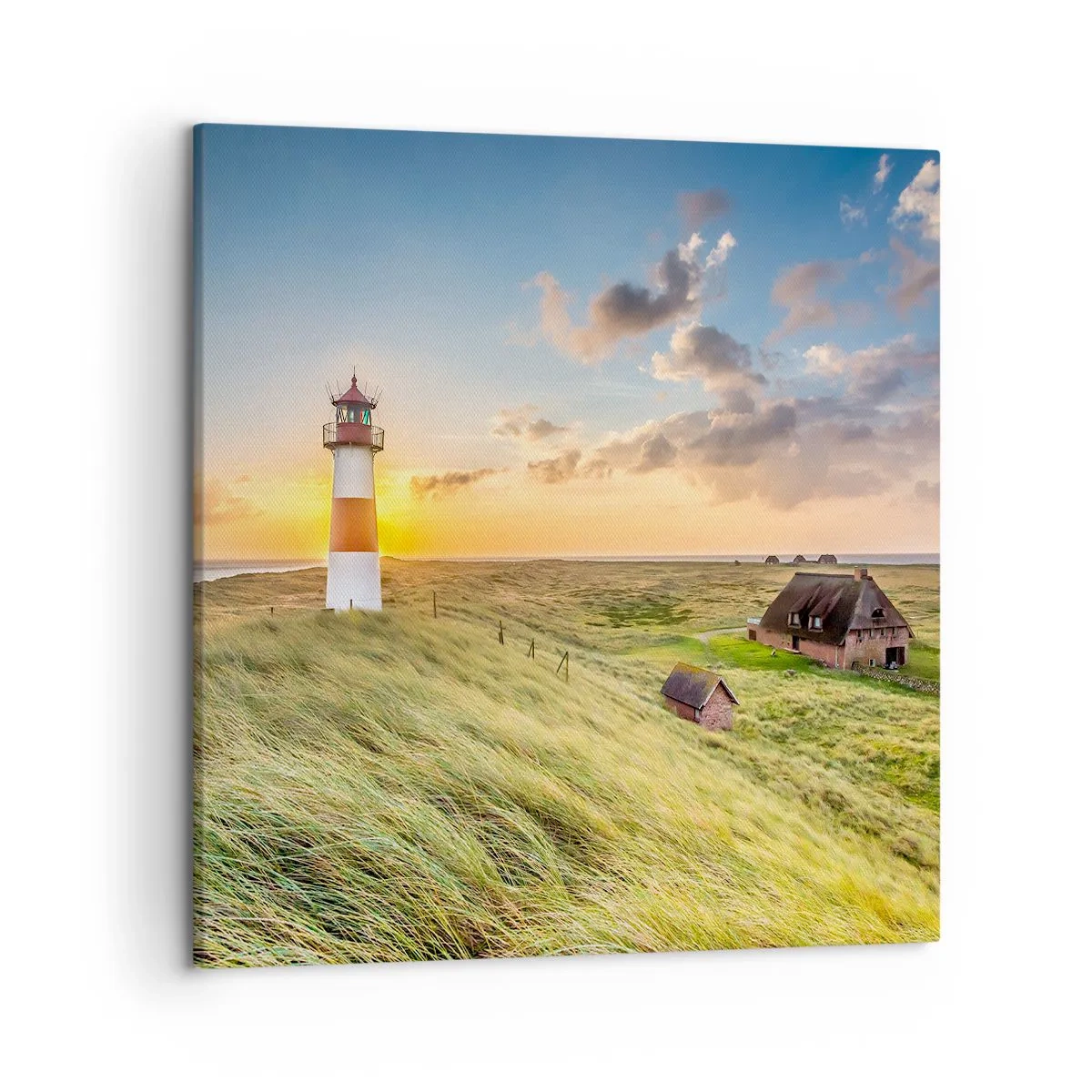 Tablou pe pânză - Între valuri - 50x50 cm