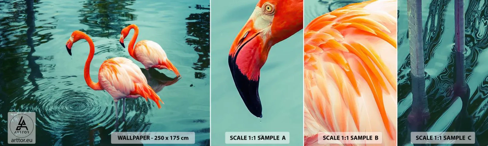 Mostră de Tapet Standard Eco - Suntem bune de revistele de modă - Flamingos, Păsări, Natură - 100x30 cm