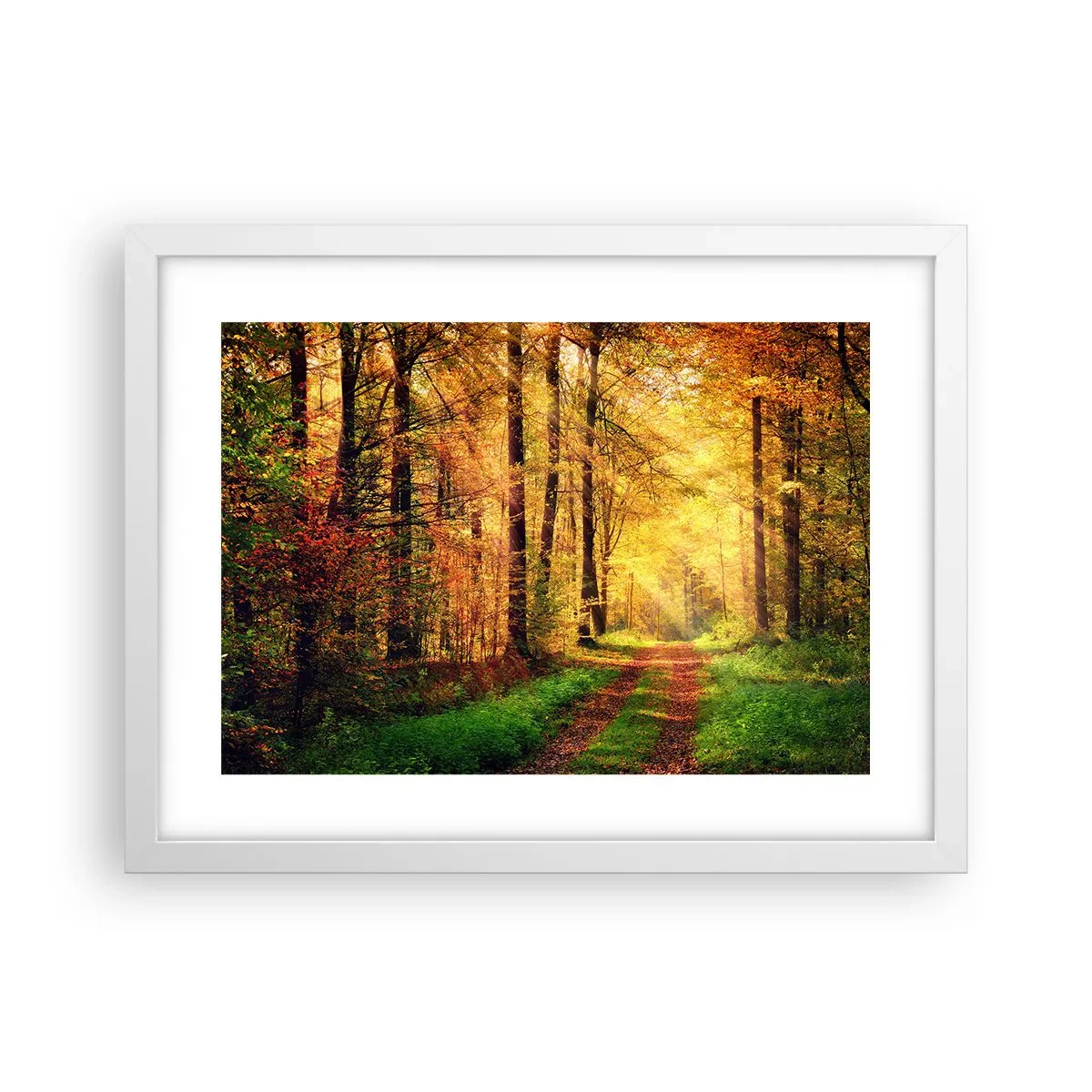 Poster în ramă albă - Tăcere de aur de pădure - 40x30 cm