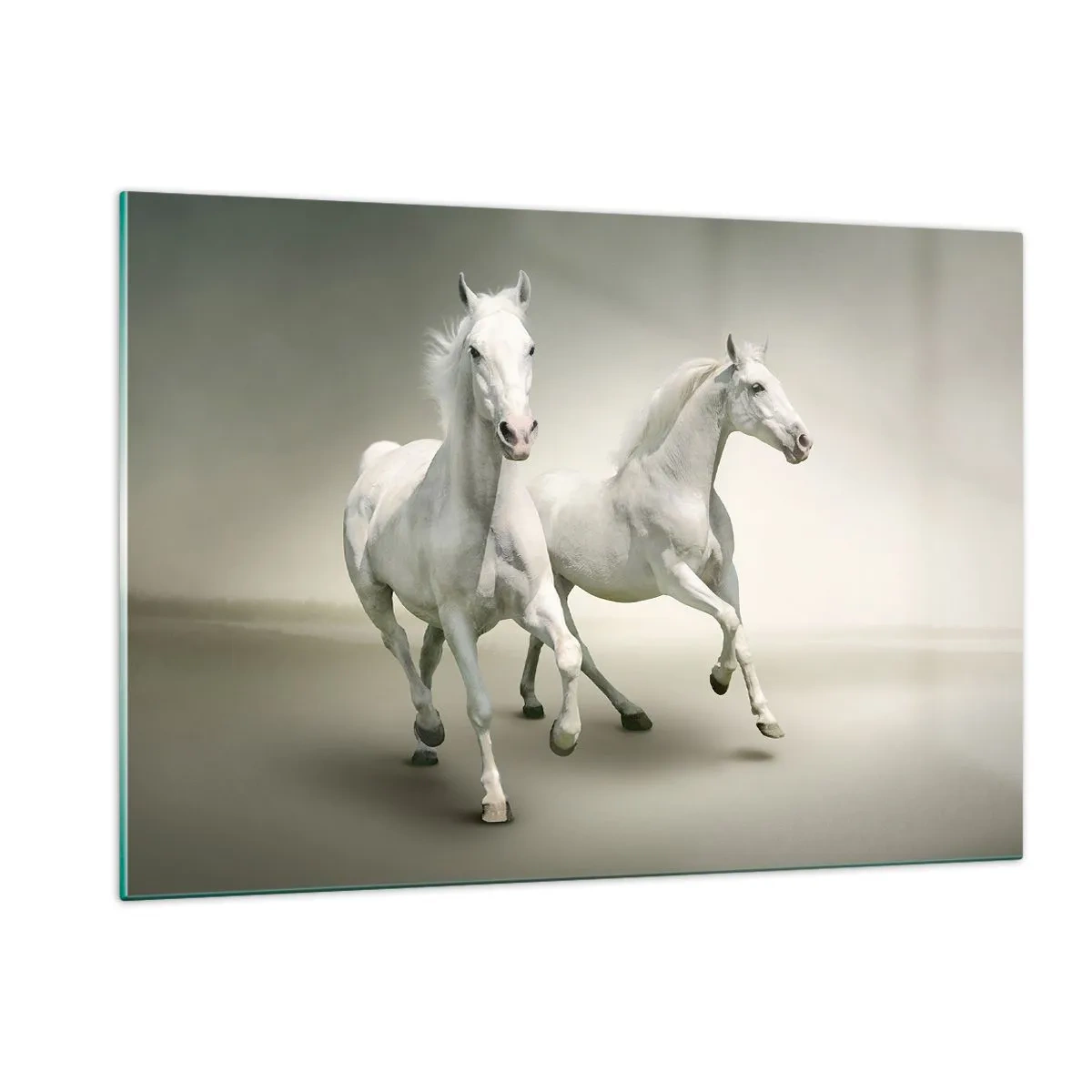 Tablou pe sticlă - White power! - 120x80 cm