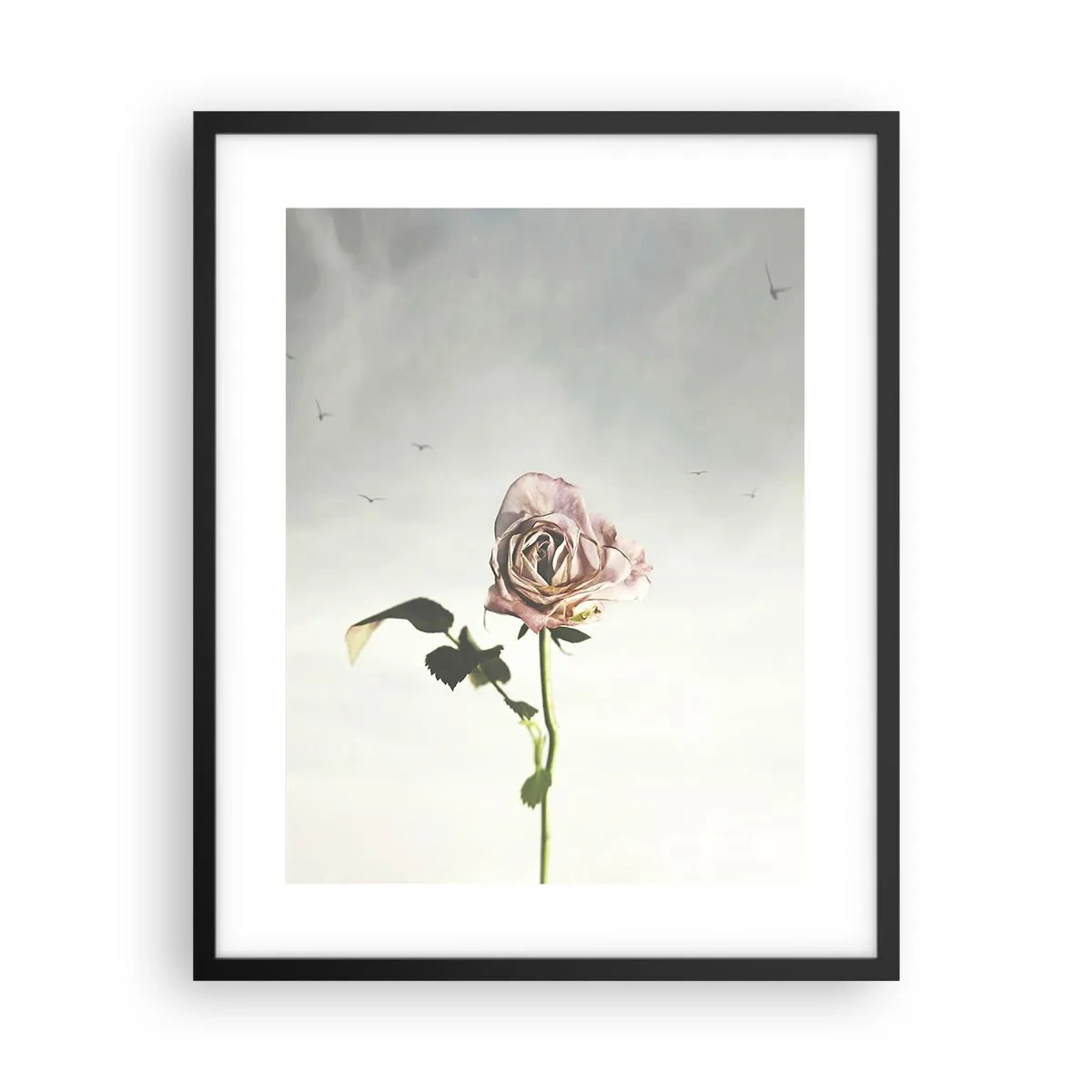 Poster în ramă neagră - Primăvara binevenită - 40x50 cm