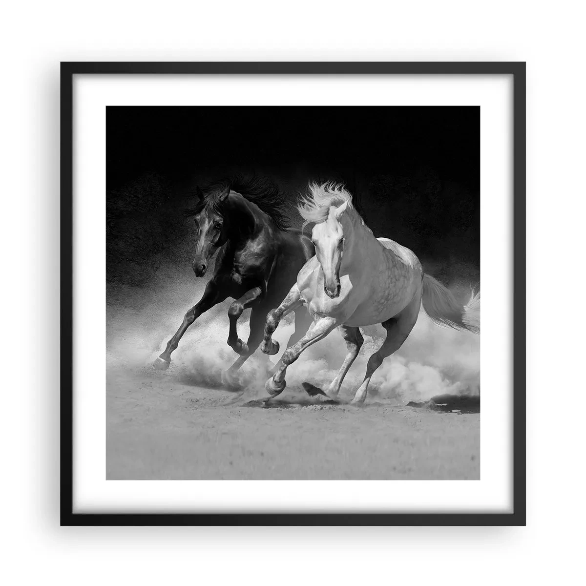 Poster în ramă neagră - Galopul libertății - 50x50 cm