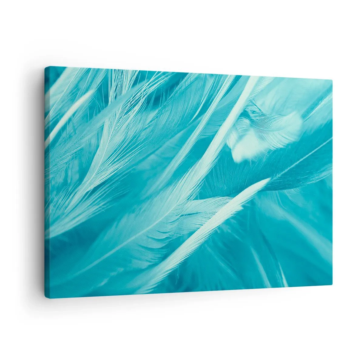 Tablou pe pânză Canvas - Prim-plan delicat cu pene turcoaz - 70x50cm - Înecându-se în puf - Decorațiune modernă pentru perete pentru living și dormitor ARTTOR