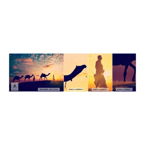 Mostră tapet autocolant Deluxe Sticker - Spiritul misterios al Orientului - Peisaj, Deşert, Cămilă - 100x30 cm